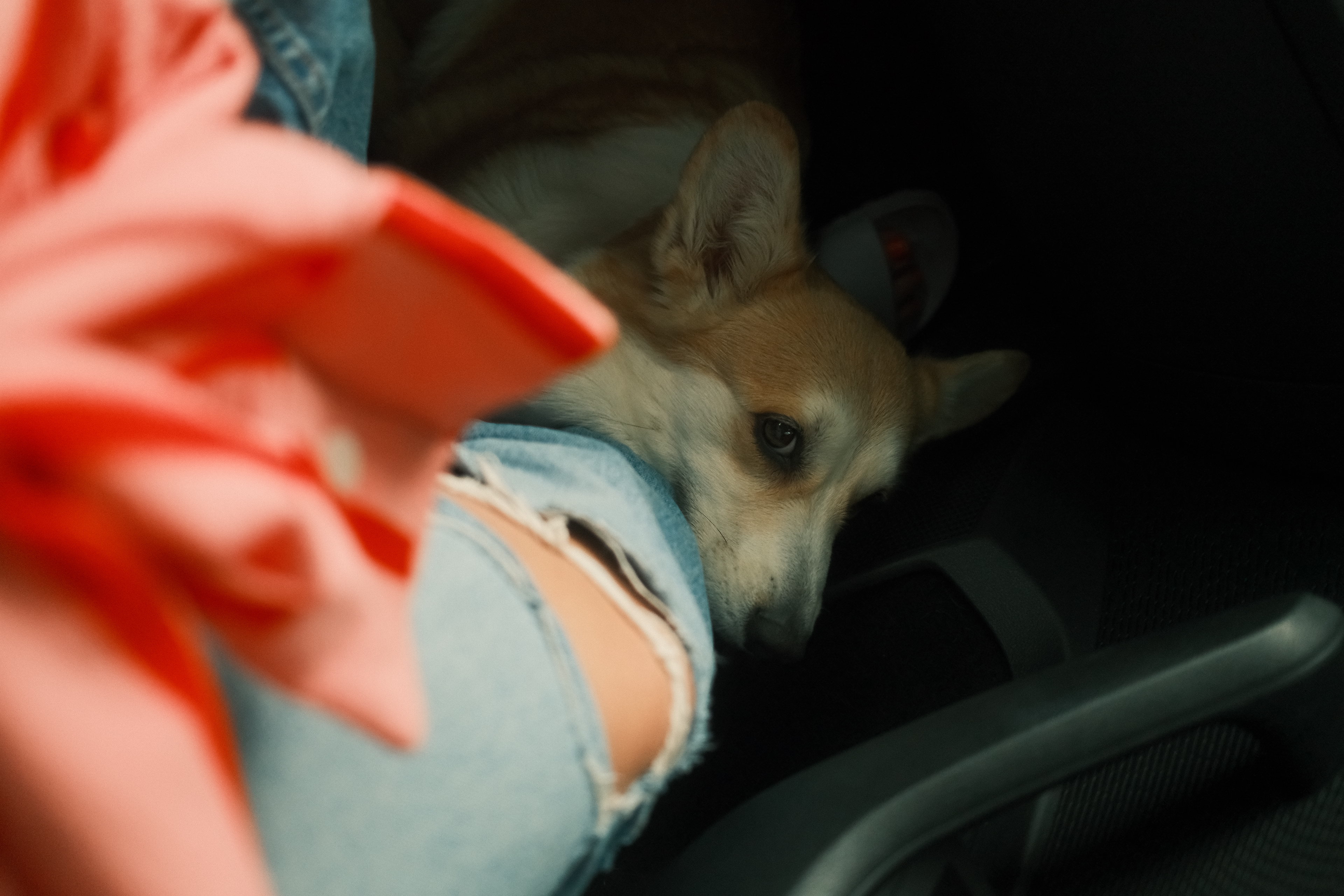 PEANUT